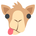 dromedary camel copy paste emoji