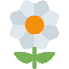 Twitter blossom emoji image