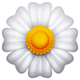 Whatsapp blossom emoji image