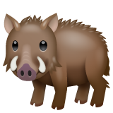 Whatsapp boar emoji image