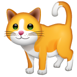 Whatsapp cat emoji image