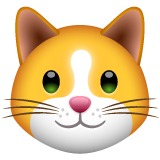 Whatsapp cat face emoji image