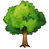 Whatsapp deciduous tree emoji image