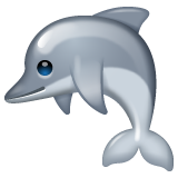 Whatsapp dolphin emoji image