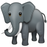 Whatsapp elephant emoji image