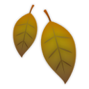 LG fallen leaf emoji image