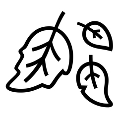 Noto Emoji Font fallen leaf emoji image