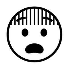 Noto Emoji Font fearful face emoji image