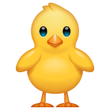 Whatsapp front-facing baby chick emoji image