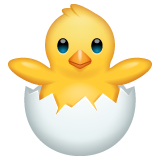 Whatsapp hatching chick emoji image