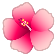 Google hibiscus emoji image