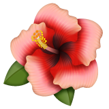 Whatsapp hibiscus emoji image