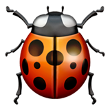IOS/Apple lady beetle emoji image