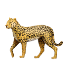 Huawei leopard emoji image