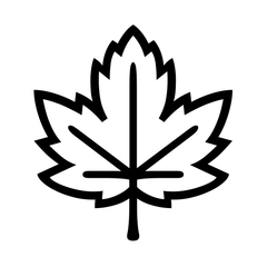 Noto Emoji Font maple leaf emoji image