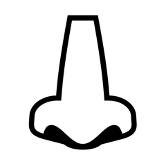 Noto Emoji Font nose emoji image