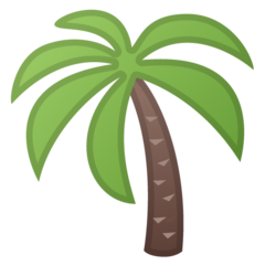 Google palm tree emoji image