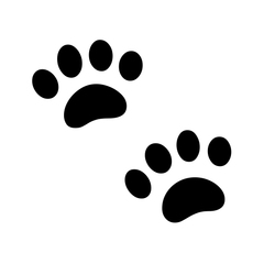 Noto Emoji Font paw prints emoji image