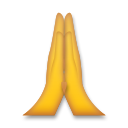 LG person with folded hands emoji image