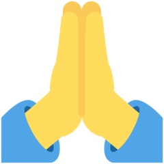Twitter person with folded hands emoji image