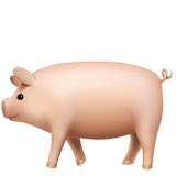 IOS/Apple pig emoji image