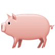 Samsung pig emoji image