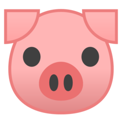Google pig face emoji image