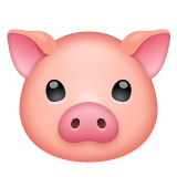 Whatsapp pig face emoji image