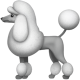 IOS/Apple poodle emoji image