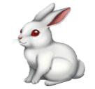 Huawei rabbit emoji image