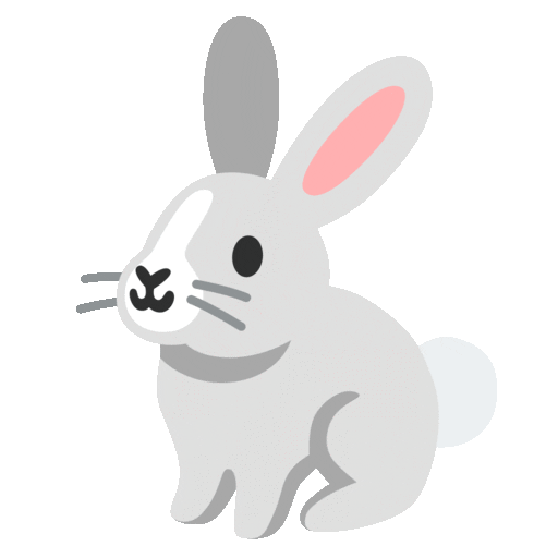 Noto Emoji Animation rabbit emoji image