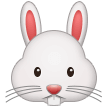 Samsung rabbit face emoji image