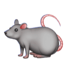 Huawei rat emoji image