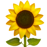 IOS/Apple sunflower emoji image