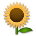 LG sunflower emoji image