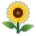 Sony Playstation sunflower emoji image