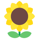 Toss sunflower emoji image