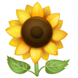 Whatsapp sunflower emoji image