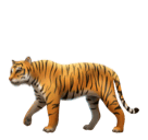 Huawei tiger emoji image