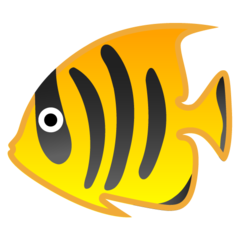 Google tropical fish emoji image