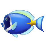 Whatsapp tropical fish emoji image