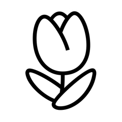 Noto Emoji Font tulip emoji image