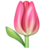 Whatsapp tulip emoji image