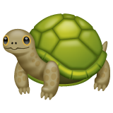 Whatsapp turtle emoji image