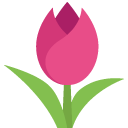 Tulip emoji meanings