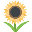 sunflower emoji meaning