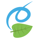 leaf fluttering in wind emoji meaning