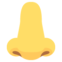 nose emoji meaning