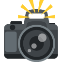 camera with flash copy paste emoji